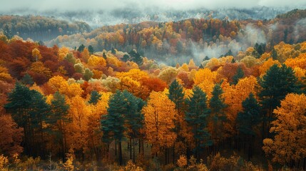 Obraz premium A Vibrant Autumn Landscape Surrounded by Misty Mountains and Lush Forests in Early Morning Light. Generative AI
