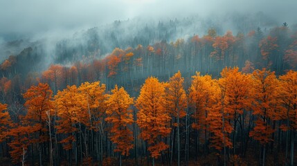 Fototapeta premium Vibrant Autumn Foliage Surrounded by Misty Mountains at Dawn in October. Generative AI