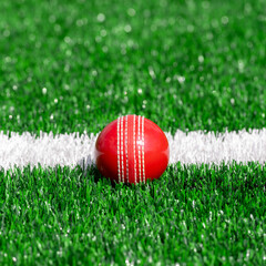 Cricket red ball with natural lighting on green grass. Horizontal sport theme poster, greeting cards, headers, website and app