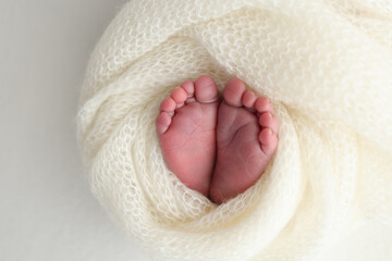 The tiny foot of a newborn. Soft feet of a newborn in a white woolen blanket. Close up of toes, heels and feet of a newborn baby. Studio Macro photography. Woman's happiness.