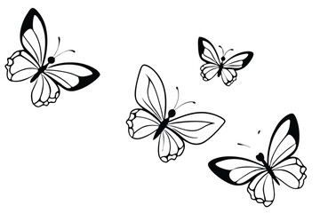 Obraz premium Butterflies flying line art illustration