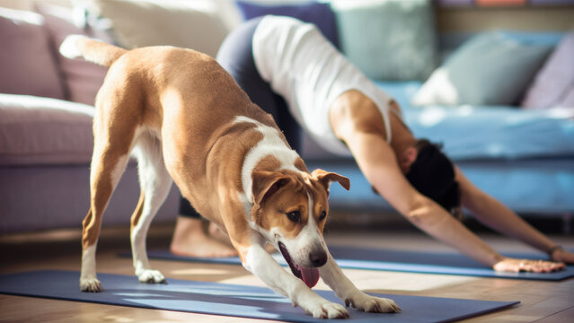 A dog and woman doing yoga on mats in a living room, AI