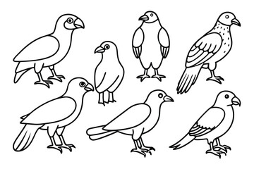 Fototapeta premium Buzzard bird line art illustration