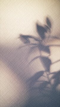 Pastel shadow background, aesthetic leaves and flower