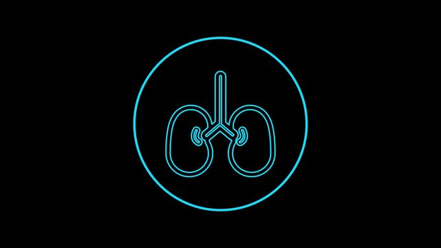  Respiratory system line animation. Human anatomy. Pulmonary system healthcare. Animated of line liver icon .