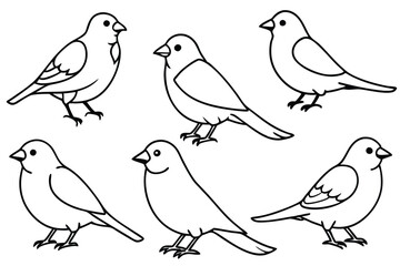 Canary bird line art illustration