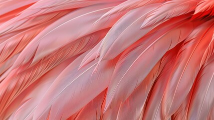 Detailed 3D texture of flamingo feathers with rich colors animal themed sleek and detailed