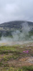 Geysir park on golden ring in iceland in summer time, green landscape of europe