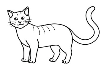 Cat line art illustration Design Concepts
