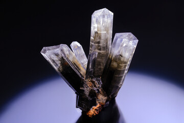 Gypsum crystals displaying natural translucent beauty.
