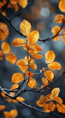 Golden leaves gracefully sway on branches amid a tranquil autumn atmosphere