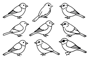 Chickadee bird line art illustration