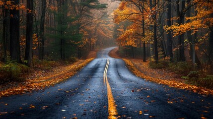 Obraz premium Scenic Autumn Road Surrounded by Colorful Trees in a Quiet Forest. Generative AI