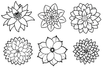Dahlia flower line art illustration Design Concepts