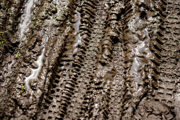 Wheelmarks in the mud from mountain bikes on sunny day on a trail in the Sauerland. Brown track...
