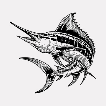 recommend clip art: Marlin fish hand drawn vintage illustration