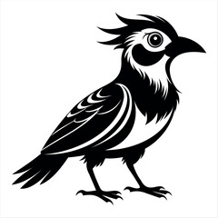 Vector Illustration Silhouette Beautiful Birds collection isolated on a white background