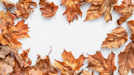 A unique heart-shaped frame made from autumn leaves, perfect for decorations or photography props