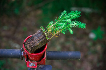 A tree seedling lies on a pipe for planting a forest.