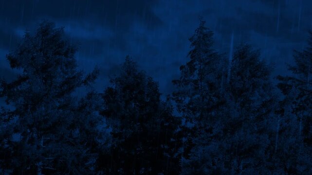 Lightning Storm And Rain On Trees At Night