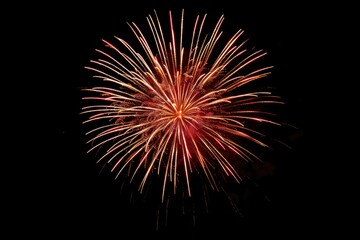 A bright firework exploding in the dark night sky