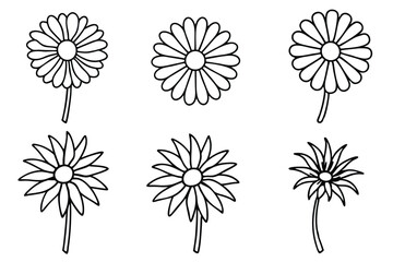 Obraz premium Daisy flower line art illustration Design Concepts