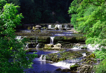 View from the bridge of Higher Falls, Aysgarth.