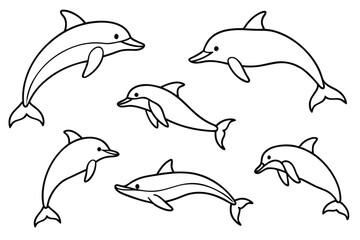 Obraz premium Dolphin line art illustration Design Concepts