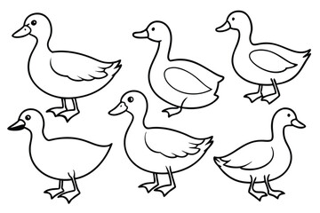 Duck line art illustration Design Concepts