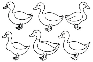 Duck line art illustration Design Concepts