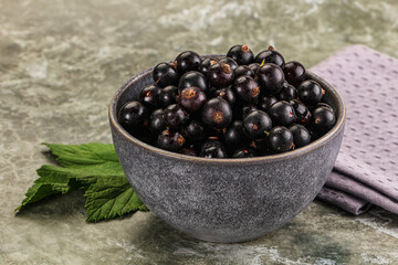 Ripe black currant in the bowl