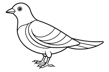 Elegant bird line art illustration
