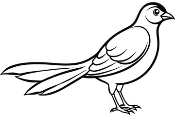 Elegant bird line art illustration