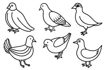 Elegant bird line art illustration