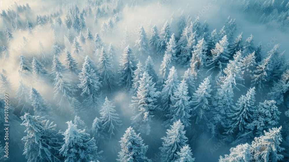 Poster lush evergreen forest covered in snow with fog rolling through at dusk. generative ai