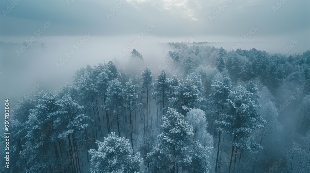 Poster enchanting winter landscape with frost-covered trees and misty background in serene forest. generati
