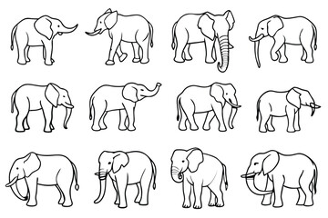 Elephant line art illustration Design Concepts