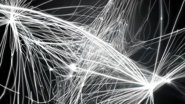 white dandelion seeds