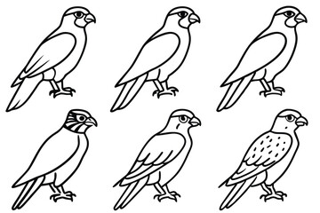 Falcon line art illustration Design Concepts