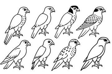 Falcon line art illustration Design Concepts