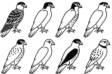 Falcon line art illustration Design Concepts