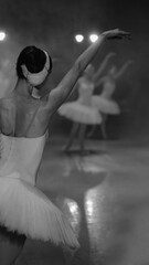 Ballerinas in white tutus, view from backstage. Black and white photos © Moiseii Production