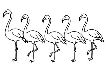 Flamingo bird line art illustration