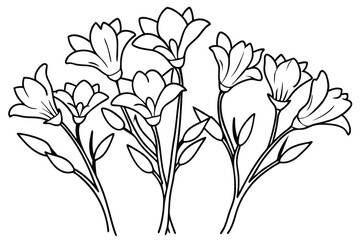 Freesia line art illustration Design Concepts