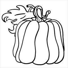 Hand Drawn pumpkin line art. Pumpkin doodle icon. Black and white Pumpkin vector illustration. Perfect For Poster, Greeting Card, Coloring page for kids and adults..