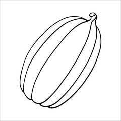 Hand Drawn pumpkin line art. Pumpkin doodle icon. Black and white Pumpkin vector illustration. Perfect For Poster, Greeting Card, Coloring page for kids and adults..