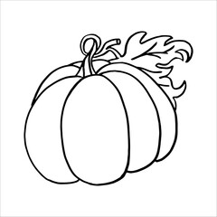 Hand Drawn pumpkin line art. Pumpkin doodle icon. Black and white Pumpkin vector illustration. Perfect For Poster, Greeting Card, Coloring page for kids and adults..