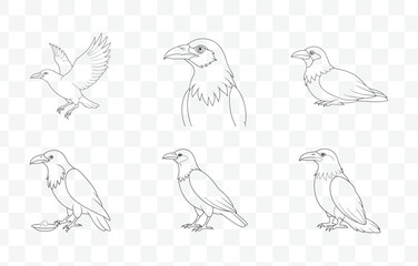 Print Intricate Raven Line Art Vector Set with Detailed Designs for Various Artistic Applications