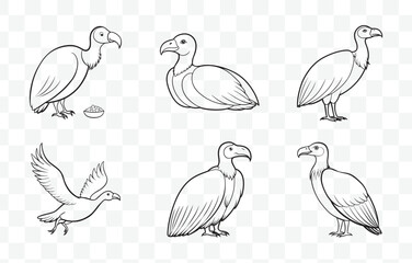 Print Detailed Condor Line Art Vector Set with Intricate Designs Perfect for Nature and Bird Enthusiasts