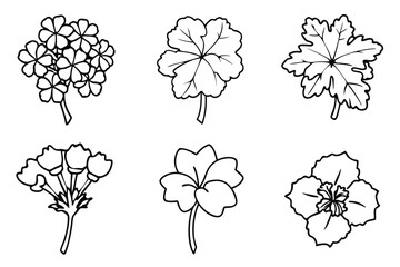 Geranium line art illustration Design Concepts